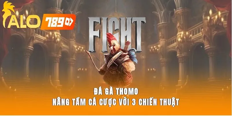 Luật Đá Gà Thomo Alo789 – Sảnh Đá Gà Uy Tín Với Trải Nghiệm Live Đỉnh Cao